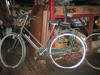 Phoenix Mutaped D